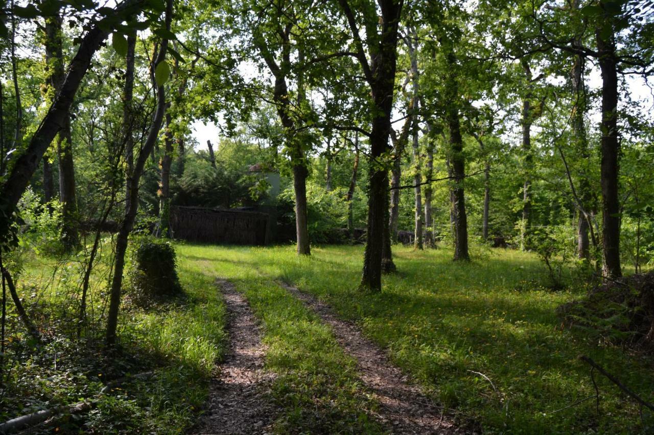 Ferme De Mouline Villa Sainte-Foy-la-Longue Eksteriør billede